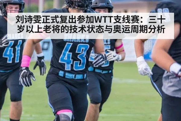 刘诗雯正式复出参加WTT支线赛：三十岁以上老将的技术状态与奥运周期分析