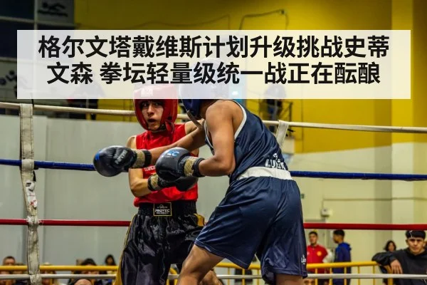 格尔文塔戴维斯计划升级挑战史蒂文森 拳坛轻量级统一战正在酝酿