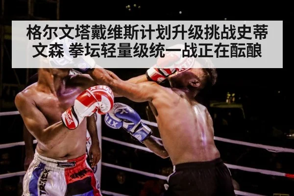 boxer training gloves