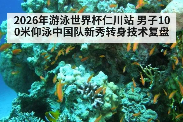 2026年游泳世界杯仁川站 男子100米仰泳中国队新秀转身技术复盘